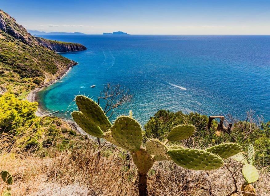 Hotel San Lorenzo Thermal Spa Forio di Ischia Exteriér fotografie